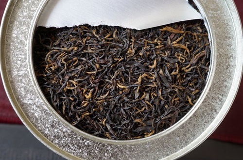 祁门红茶百年制茶秘诀的保存与研究